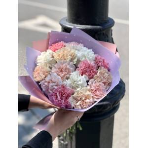 15 диантусов микс с нежной упаковкой