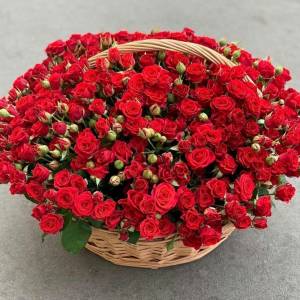 Корзина цветов, 101 красная кустовая роза R1951